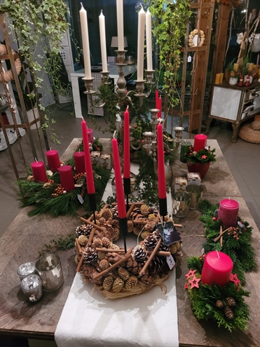 Weihnachtsblumen Hannover